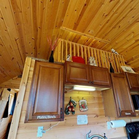 White Pine Cabin By Canyonlands Lodging Monticello Eksteriør billede