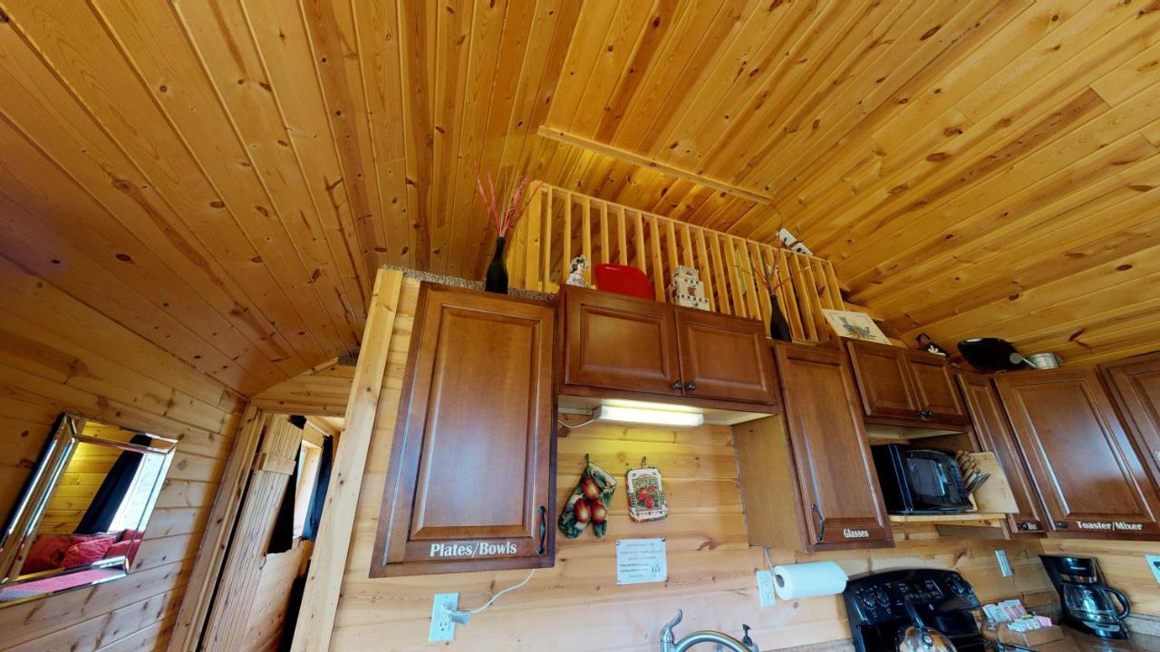 White Pine Cabin By Canyonlands Lodging Monticello Eksteriør billede